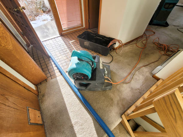 Best Water damage cleanup near me  in Wetumpka, AL
