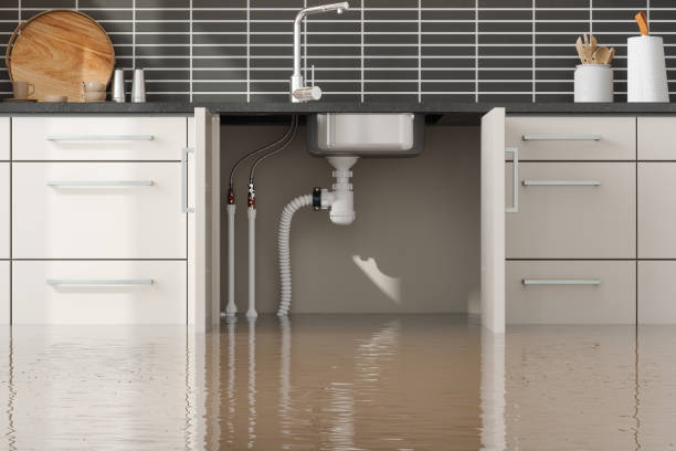 Best Water damage restoration cost  in Wetumpka, AL