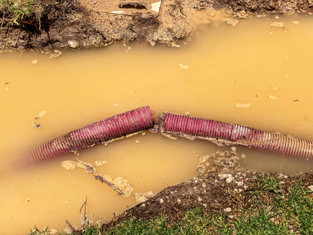 Best Mold removal after water damage  in Wetumpka, AL