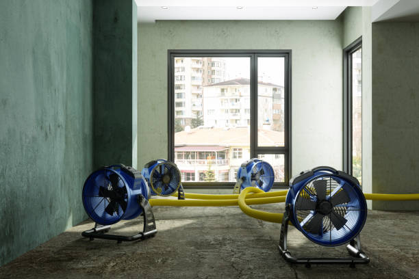 Best Sewage cleanup and water damage restoration  in Wetumpka, AL
